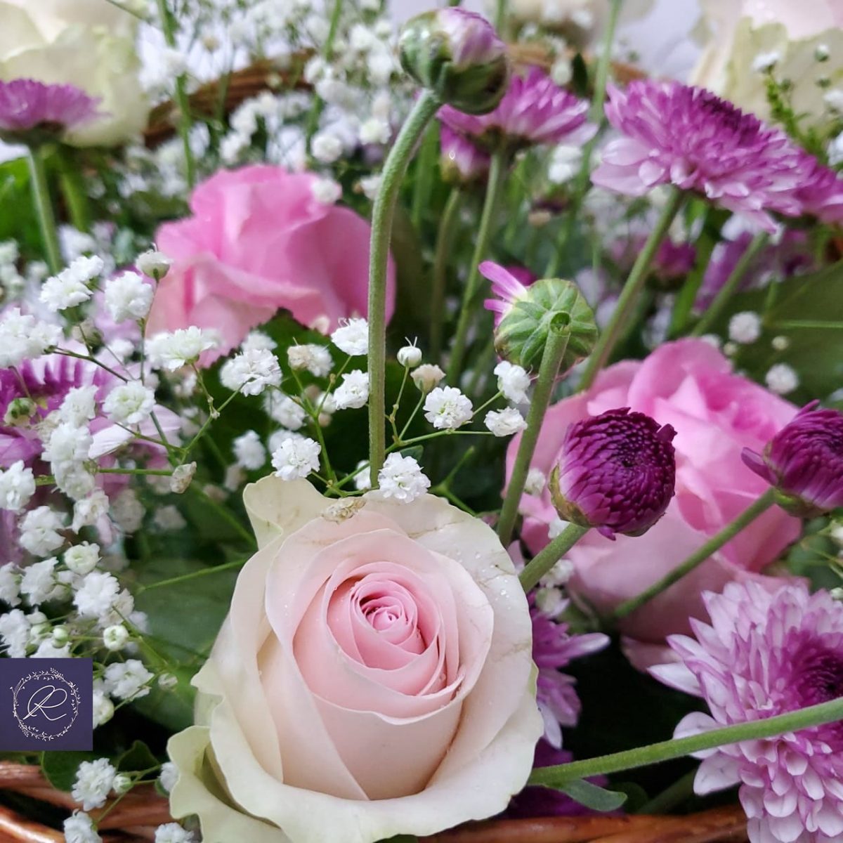 ⁦هفانا⁩ - الصورة ⁦2⁩