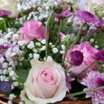 ⁦هفانا⁩ - الصورة ⁦2⁩