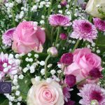 ⁦هفانا⁩ - الصورة ⁦4⁩