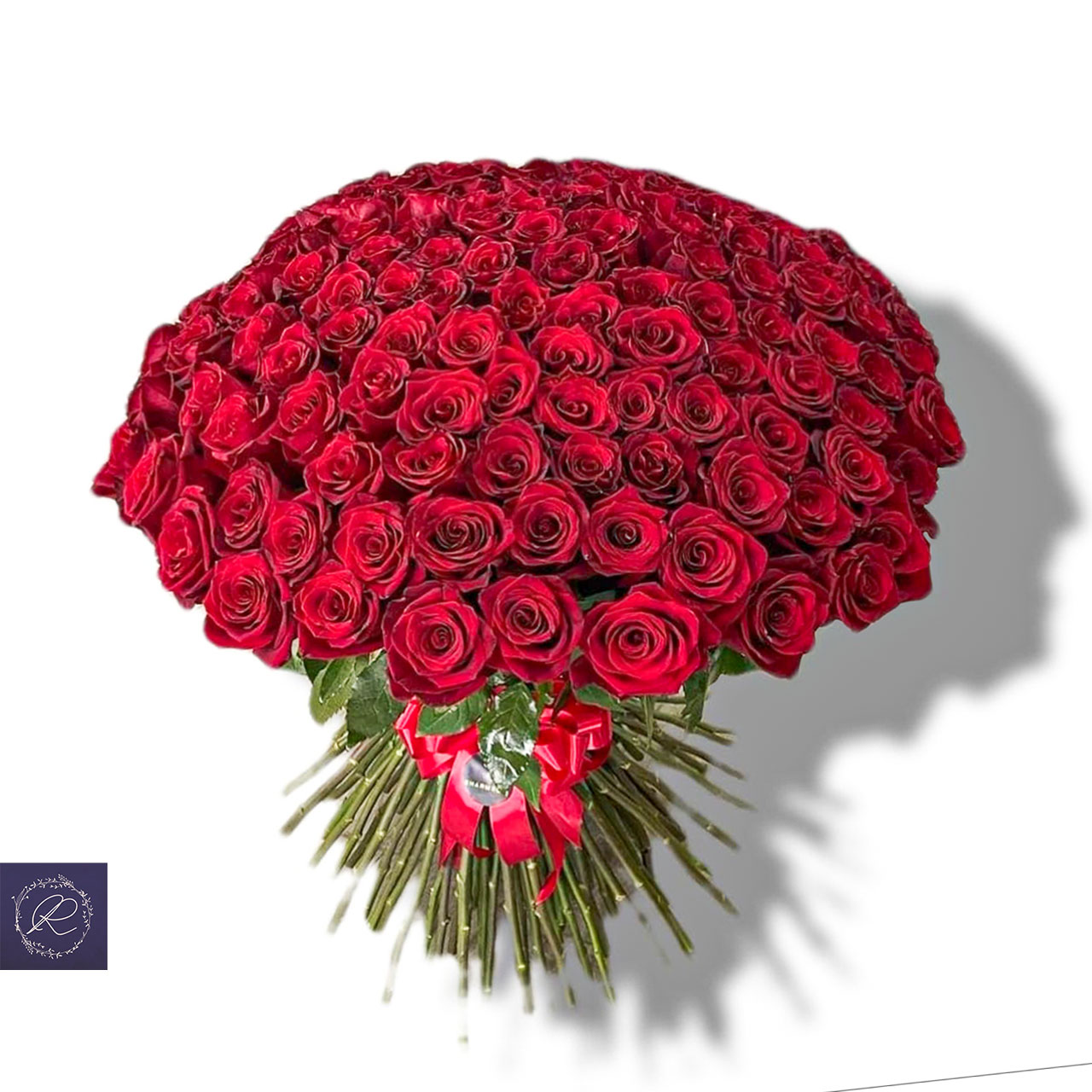 أناقة أناقة