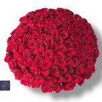 ⁦أناقة⁩ - الصورة ⁦2⁩