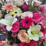 ⁦تيدى ميكس⁩ - الصورة ⁦2⁩