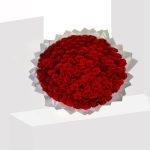 100 red roses