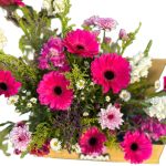 ⁦الخنصر⁩ - الصورة ⁦2⁩