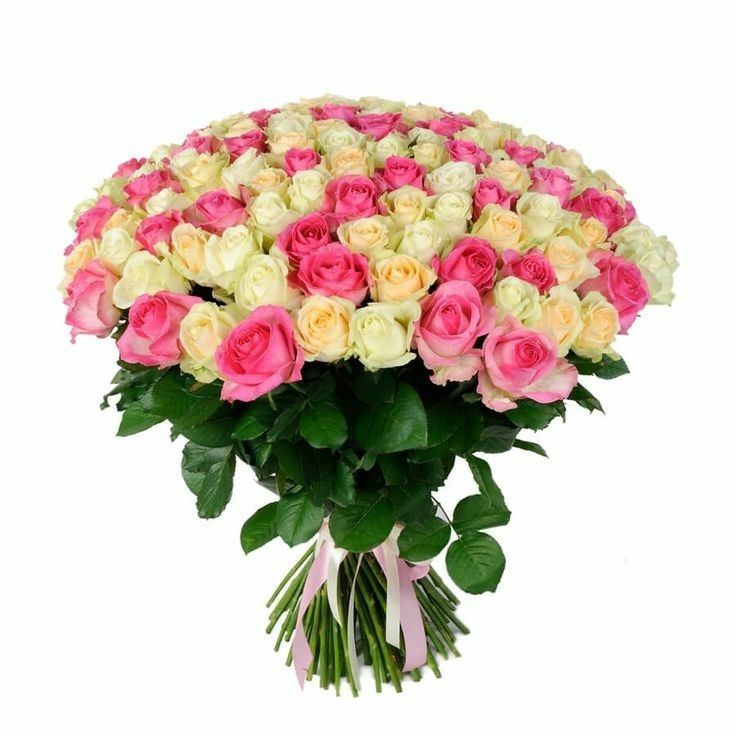 WhatsApp Image 2024-12-21 at 8.19.22 AM (4) 50 white Rose and 50 pink roess - Image 1