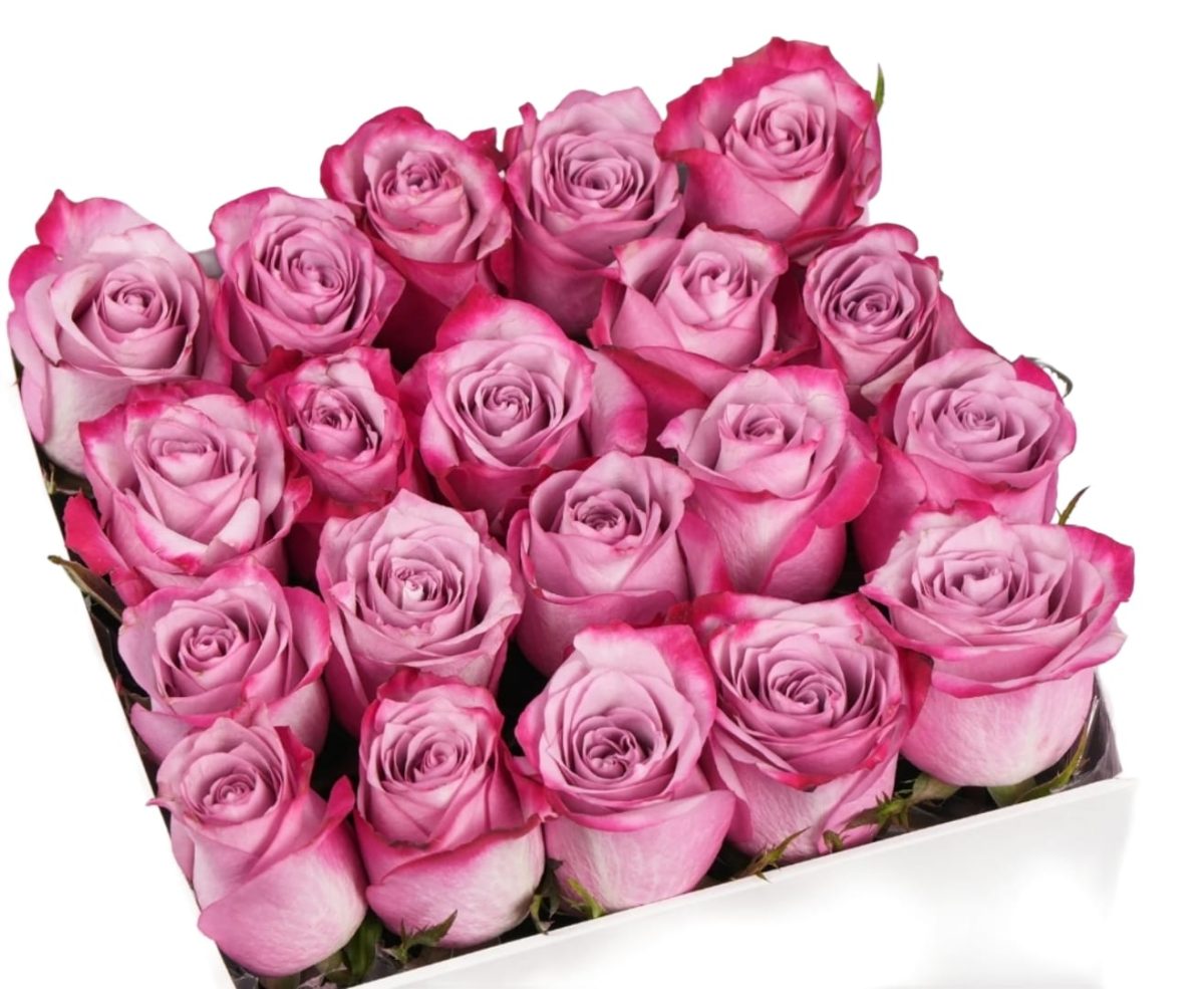 ⁦الحب والزهور⁩ - الصورة ⁦2⁩