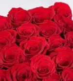 Loving heart - Image 2