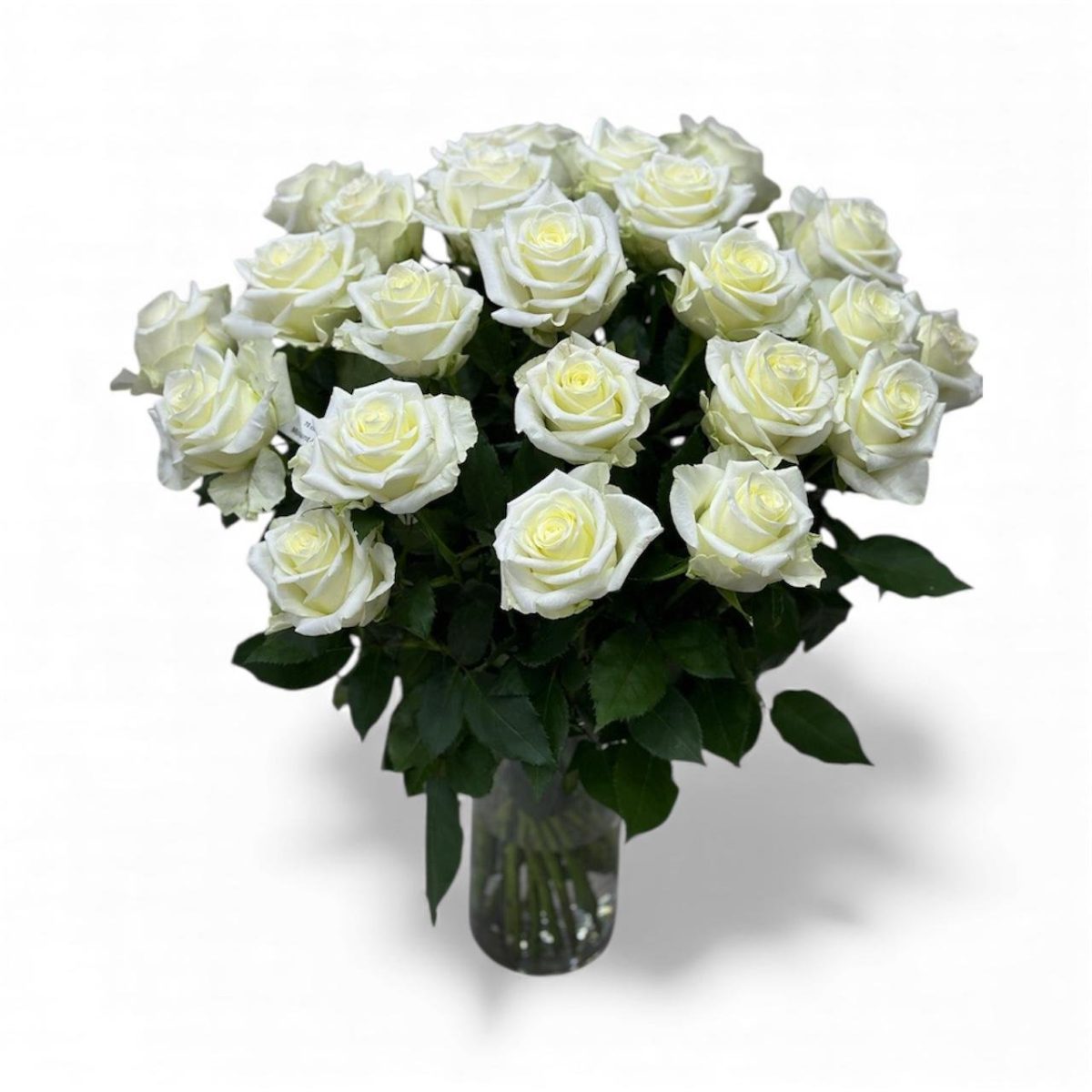 lvory grace - Image 2