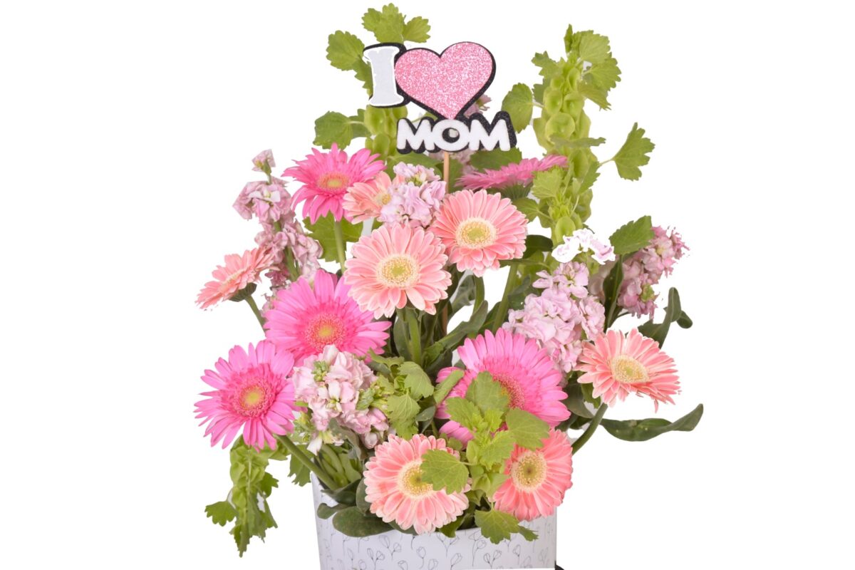 Make Mother’s Day extra special with Blush Gerbera for Mom 💗